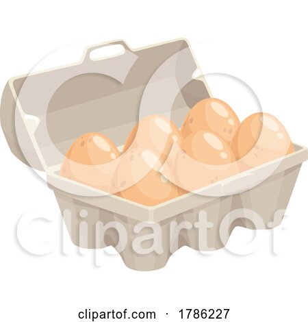 Carton of Brown Eggs by Vector Tradition SM
