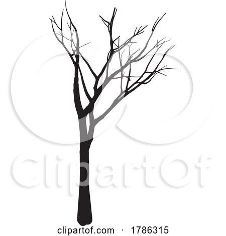 Collection of Winter Tree Silhouette by KJ Pargeter