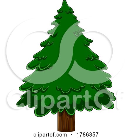 Cartoon Evergreen or Christmas Tree by Hit Toon