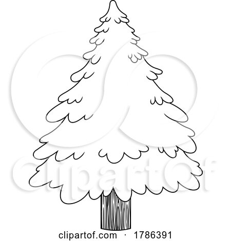 Cartoon Black and White Evergreen or Christmas Tree by Hit Toon