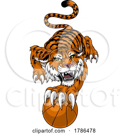 Tiger Basketball Ball Animal Sports Team Mascot by AtStockIllustration