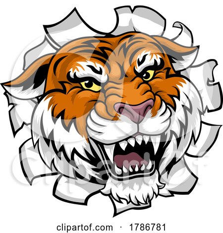 Tiger Animal Sports Team Cartoon Mascot by AtStockIllustration