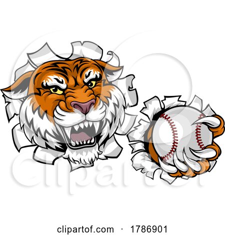Tiger Baseball Ball Animal Sports Team Mascot by AtStockIllustration