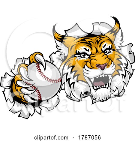 Wildcat Bobcat Baseball Ball Animal Team Mascot by AtStockIllustration