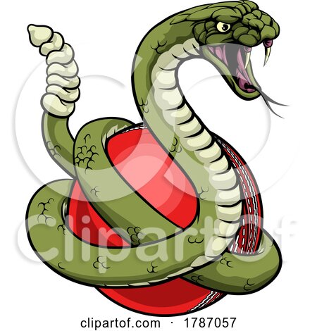Rattlesnake Cricket Ball Animal Sports Team Mascot by AtStockIllustration