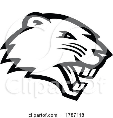 Angry North American Beaver Head Side View Mascot Black and White by patrimonio
