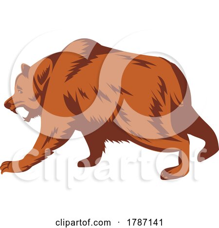 Angry Grizzly Bear or North American Brown Bear About to Attack Side Retro Woodcut Style by patrimonio