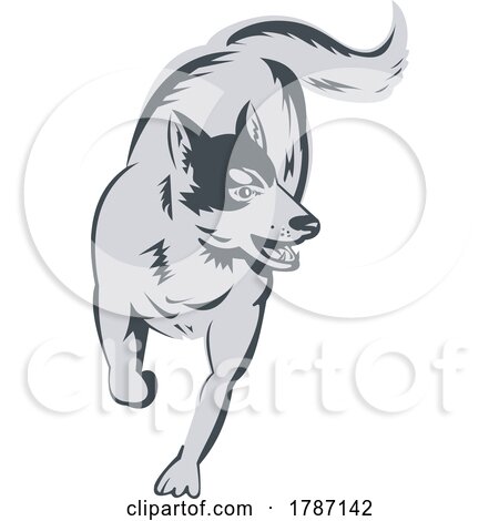 Siberian Husky Running Front View High Angle Retro Woodcut Style by patrimonio