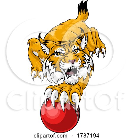 Wildcat Bobcat Cricket Ball Animal Team Mascot by AtStockIllustration