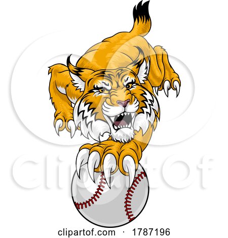 Wildcat Bobcat Baseball Ball Animal Team Mascot by AtStockIllustration