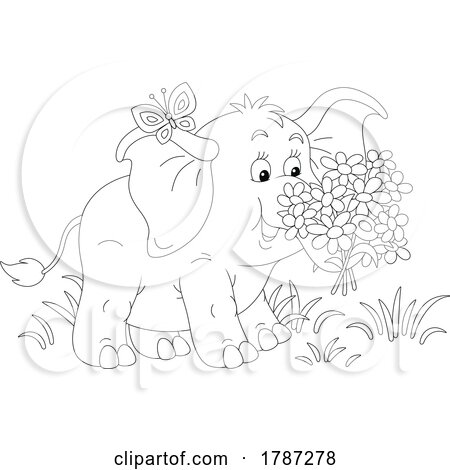 Black and White Baby Elephant with Flowers by Alex Bannykh
