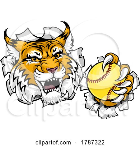 Wildcat Bobcat Softball Animal Sports Team Mascot by AtStockIllustration