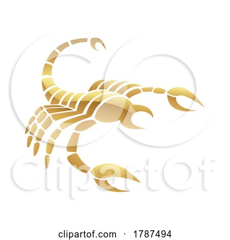 Golden Glossy Scorpion Icon on a White Background by cidepix