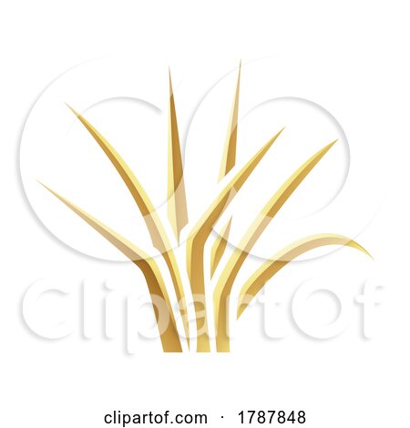 Golden Glossy Grass on a White Background by cidepix