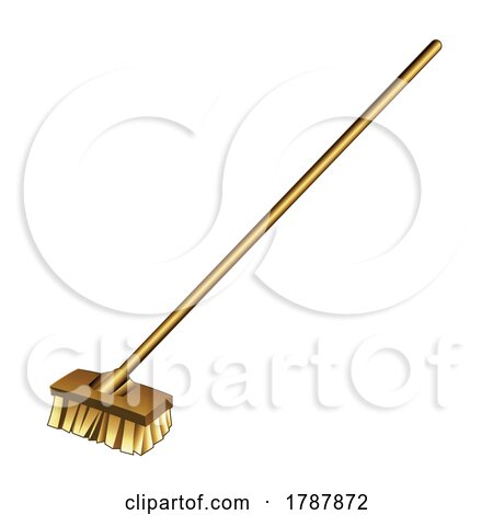 Golden Broom on a White Background by cidepix