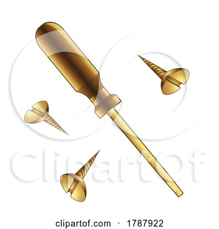 Golden Screwdriver and Screws on a White Background by cidepix
