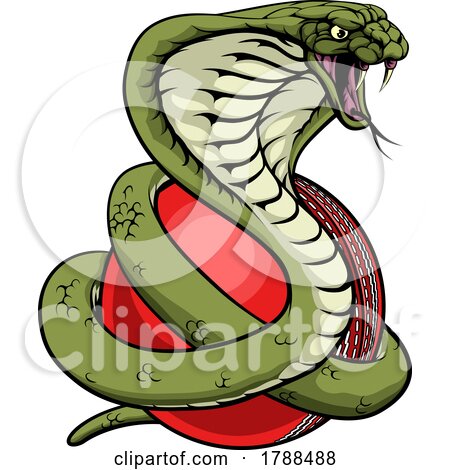 Cobra Snake Cricket Ball Animal Sports Team Mascot by AtStockIllustration