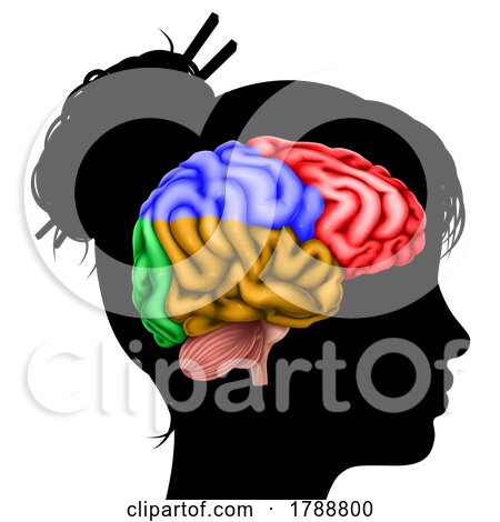 Woman Head in Silhouette Profile with Brain Concept by AtStockIllustration