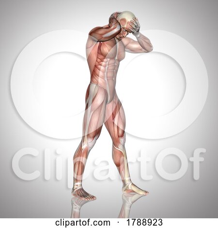 3D Male Figure with Muscle Map Holding Head by KJ Pargeter