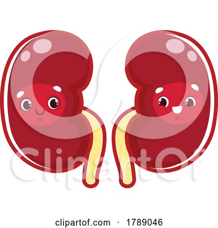 Happy Human Kidneys by Vector Tradition SM
