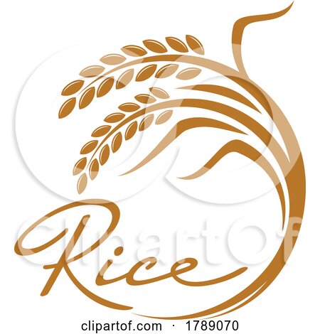 Rice Design by Vector Tradition SM