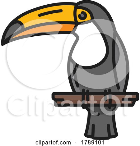 Toucan Bird by Vector Tradition SM