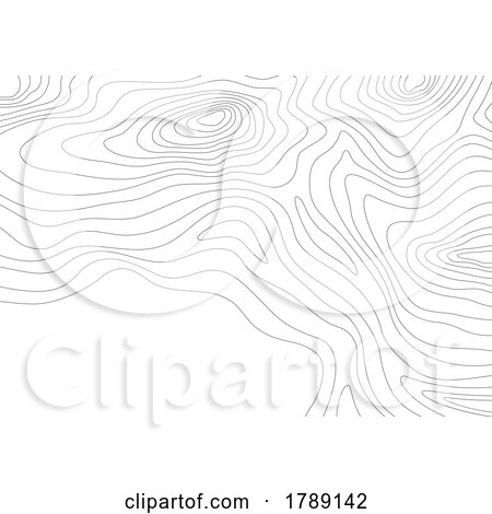 Topographic Map by Vector Tradition SM