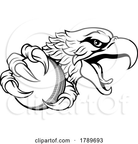 Eagle Hawk Cricket Ball Cartoon Sports Team Mascot by AtStockIllustration
