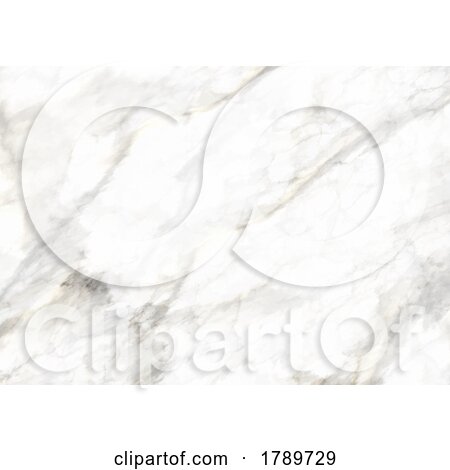 Elegant Background with a Marble Texture by KJ Pargeter