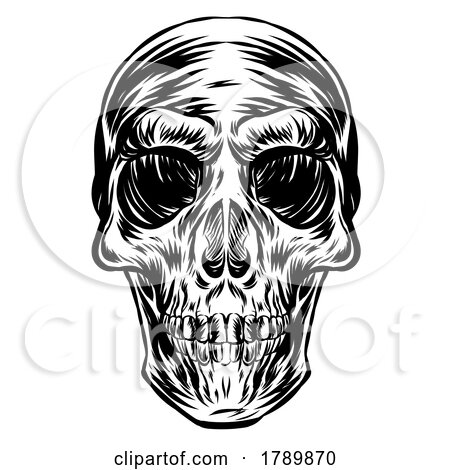 Black and White Sketched Skull by Domenico Condello