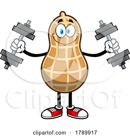 Cartoon Peanut Mascot Character Lifting Weights by Hit Toon