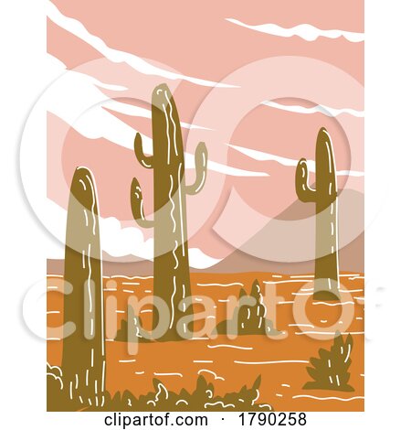 Saguaro National Park in Southern Arizona WPA Poster Line Art by patrimonio