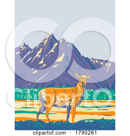 Pronghorn or American Antelope in Grand Teton National Park Wyoming WPA Poster Art by patrimonio