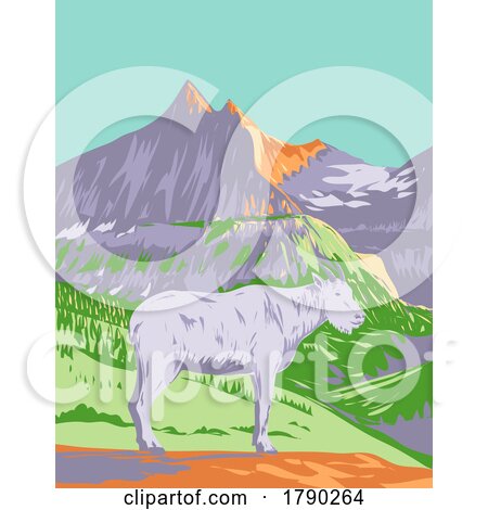 Mountain Goat or the Rocky Mountain Goat in Glacier National Park Montana WPA Poster Art by patrimonio