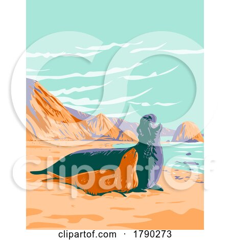 Northern Elephant Seal at Point Reyes National Seashore Marin County California WPA Poster Art by patrimonio