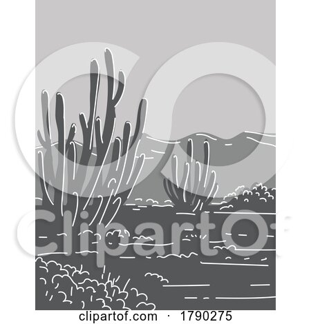 Organ Pipe Cactus National Monument in Arizona Monoline Line Art Grayscale Drawing by patrimonio
