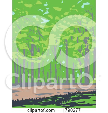 Forest in Shenandoah National Park Virginia WPA Poster Art by patrimonio