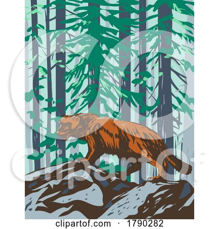 Wolverine in Yellowstone National Park Wyoming WPA Poster Art by patrimonio