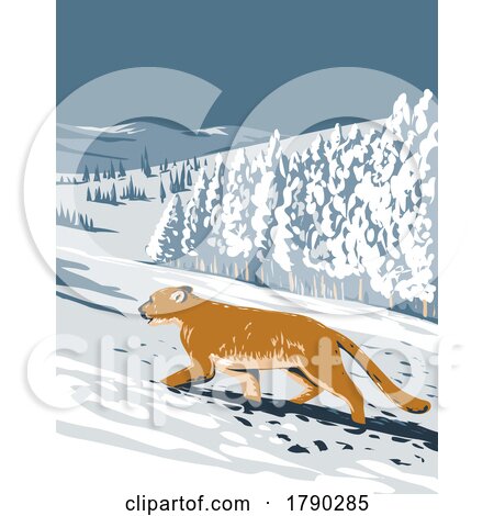Cougar in Boulder Colorado During Winter Side View WPA Poster Art by patrimonio