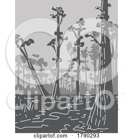 Everglades National Park in Florida Monoline Line Art Grayscale Drawing by patrimonio
