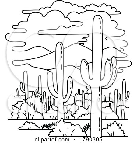 Saguaro National Park in Southern Arizona Monoline Line Art Drawing by patrimonio