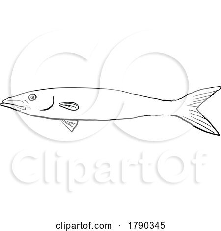 Blackfin barracuda HALFTONE DOTS DWG BW CUT by patrimonio