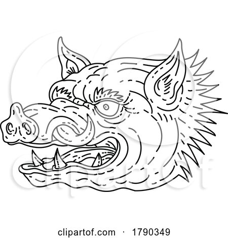 Head of Angry Razorback Wild Hog or Feral Pig Monoline Line Art Drawing by patrimonio