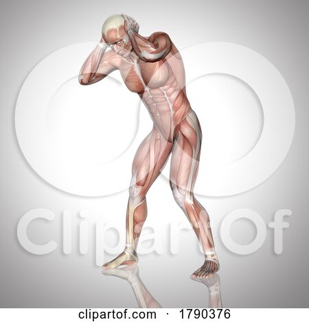 3D Male Figure with Muscle Map Holding Head in Pain by KJ Pargeter