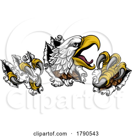 Ripping Tearing Bald Eagle Hawk Head Claw Talons by AtStockIllustration