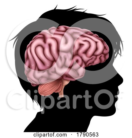 Child Kid Head in Silhouette Profile with Brain by AtStockIllustration