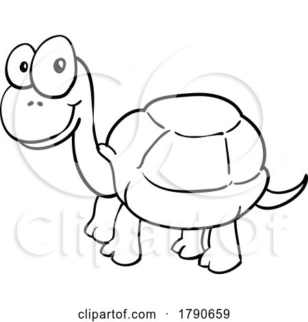 Black and White Happy Turtle by Domenico Condello