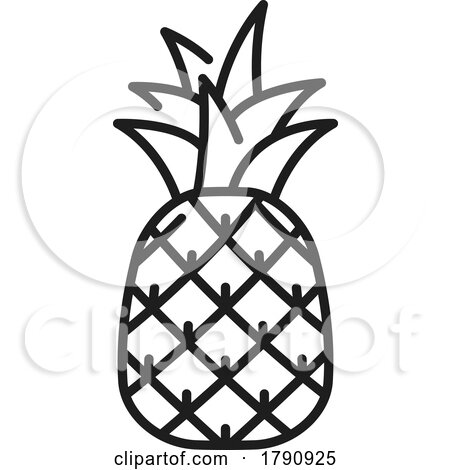 Black and White Pineapple by Vector Tradition SM