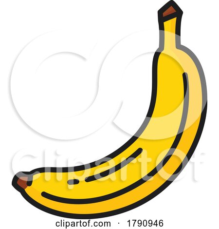 Banana by Vector Tradition SM