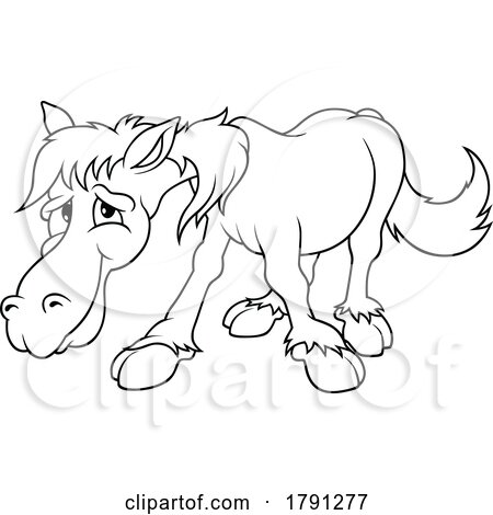 Cartoon Black and White Old Horse by dero